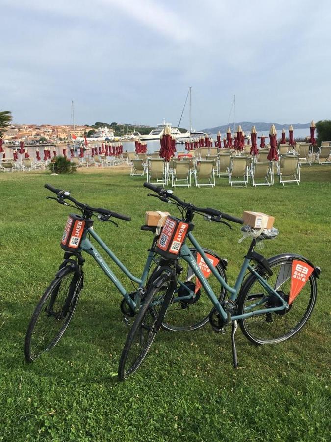 Sul Mare Palau
